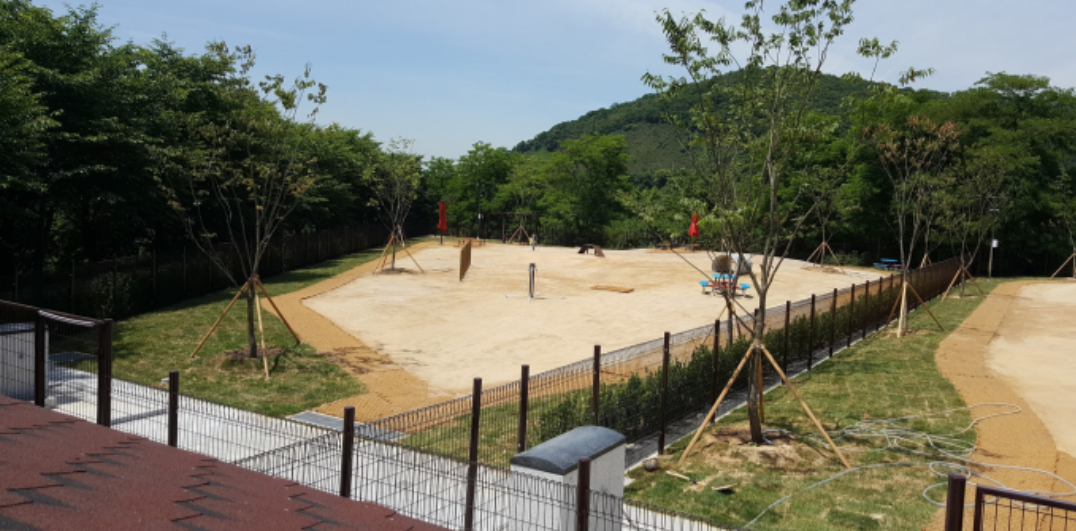 반려동물 놀이터