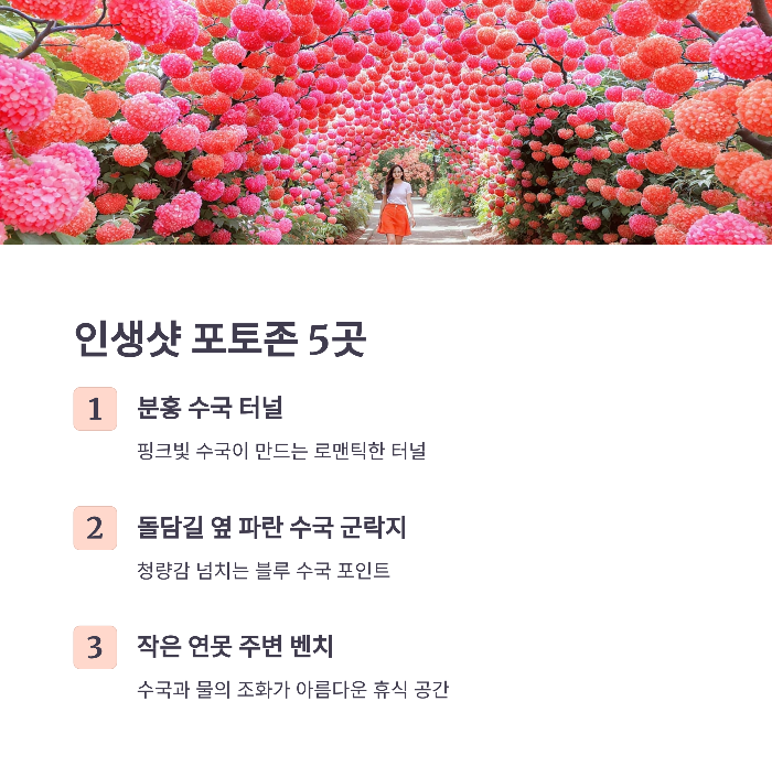 수국길 포토존 베스트