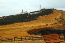 한라산-백록샘-개방-및-사전예약