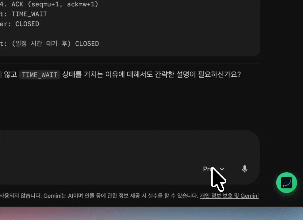 기본 모델 고정