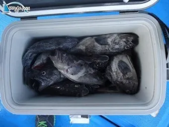 우럭낚시 선상 초보 수중여 포인트 채비 엉킴 줄이는 정리법_20
