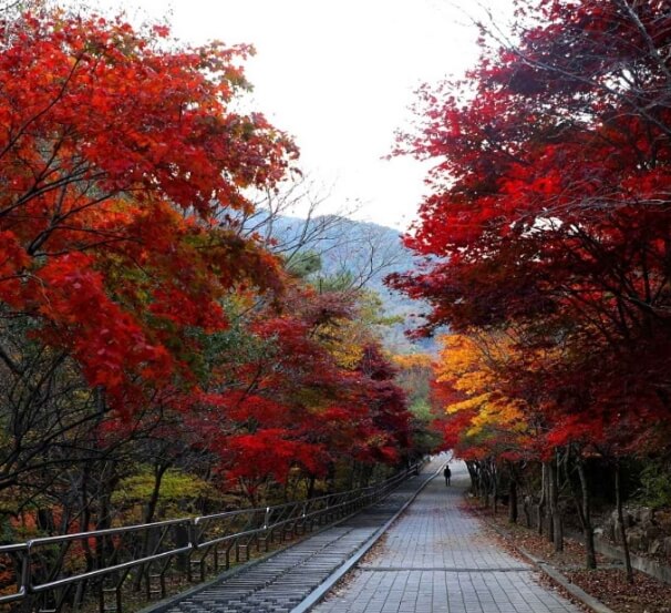 논산 가볼만한곳 베스트 10