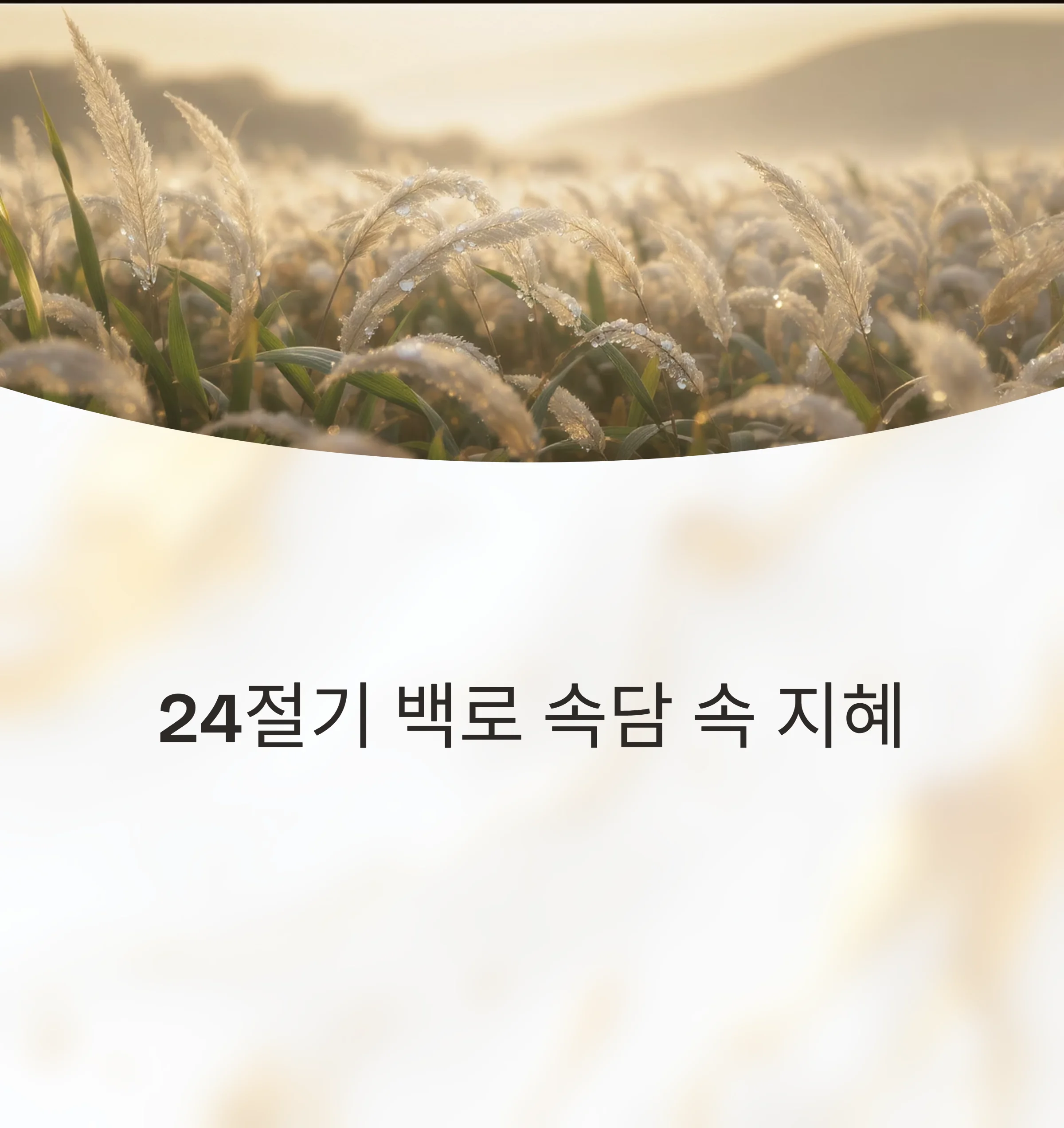 24절기-백로-속담