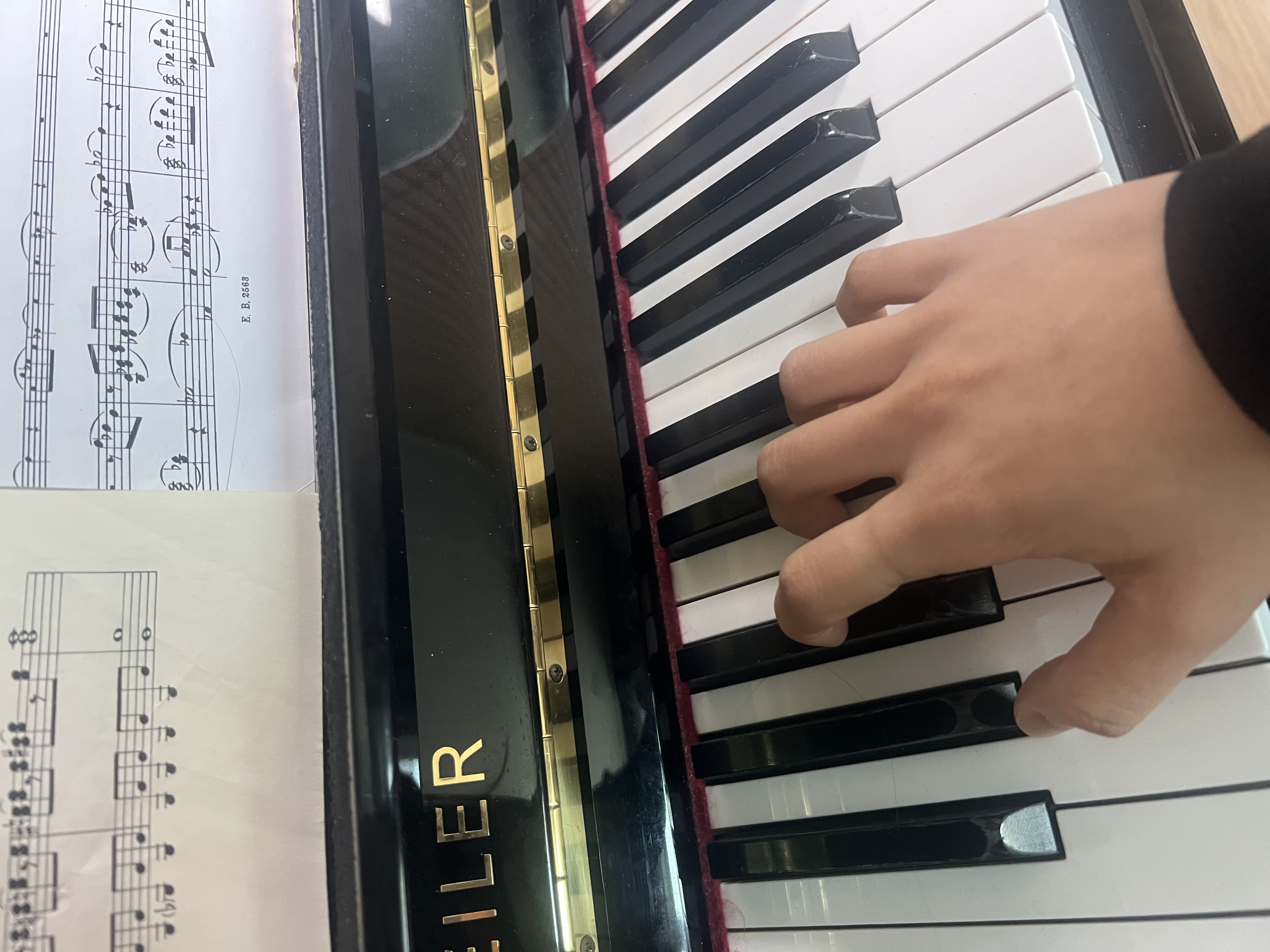 건반 손가락 모양