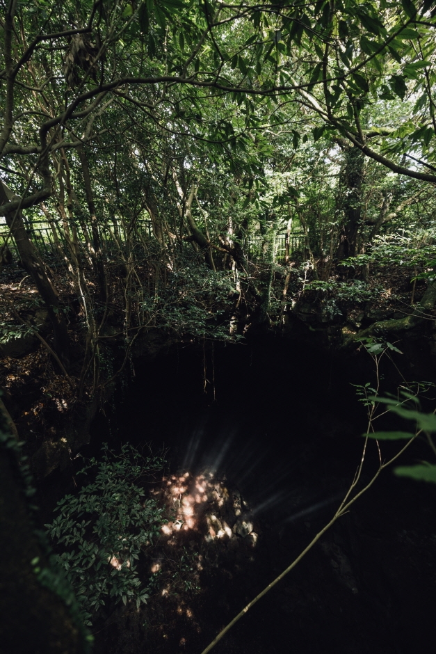 10월 지역 축제 제주 가을 축제