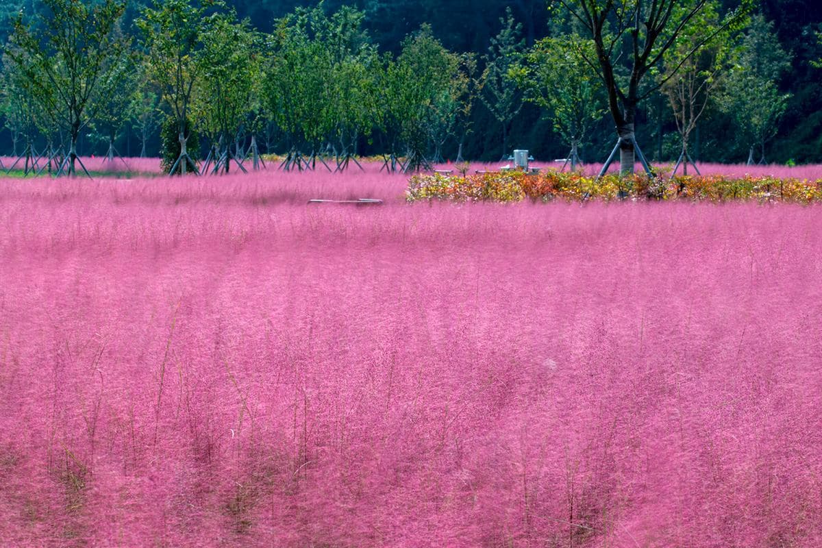 [경남 합천 여행]합천의 소소한 힐링 스폿 3곳, 여행 코스 추천
