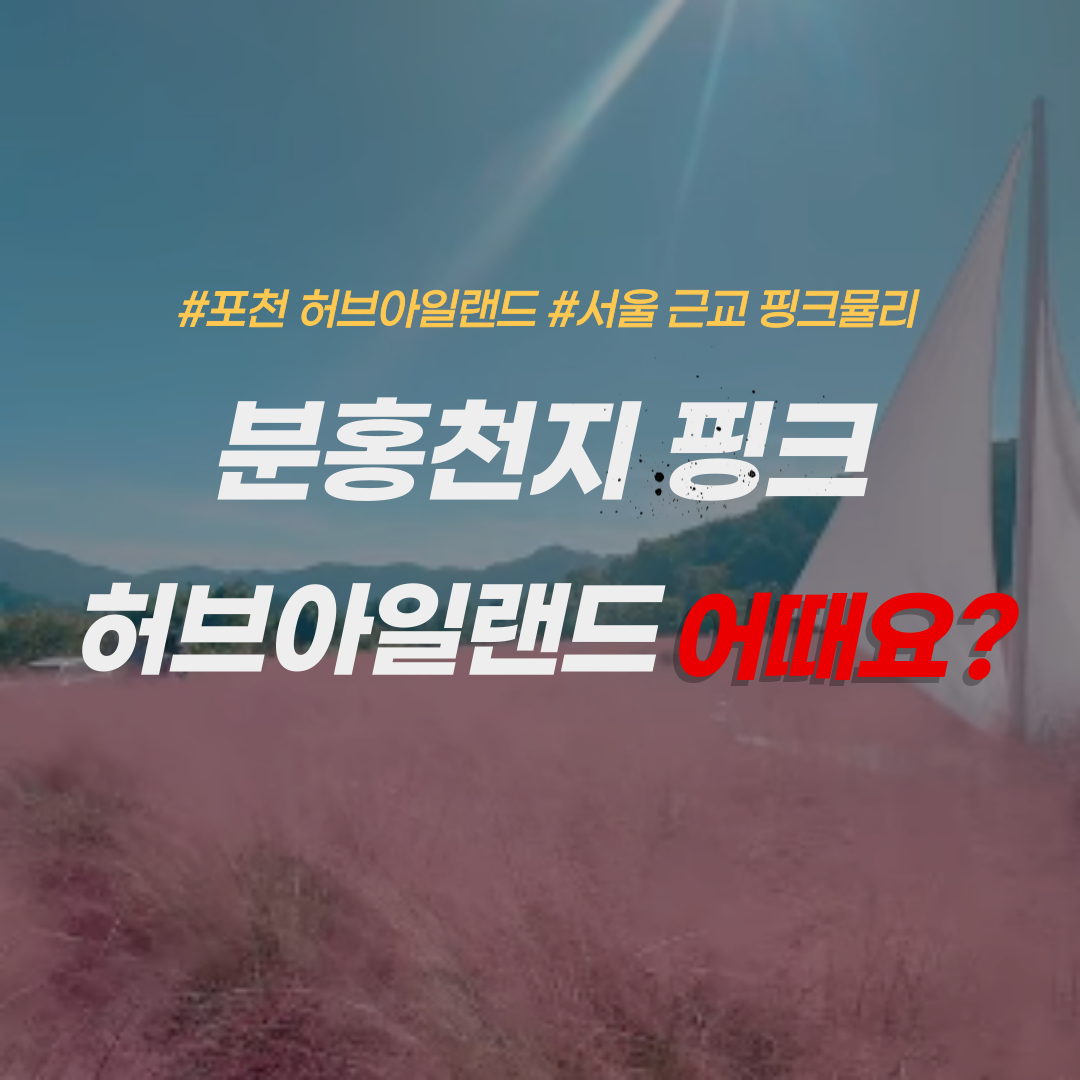 포천 허브아일랜드-핑크뮬리