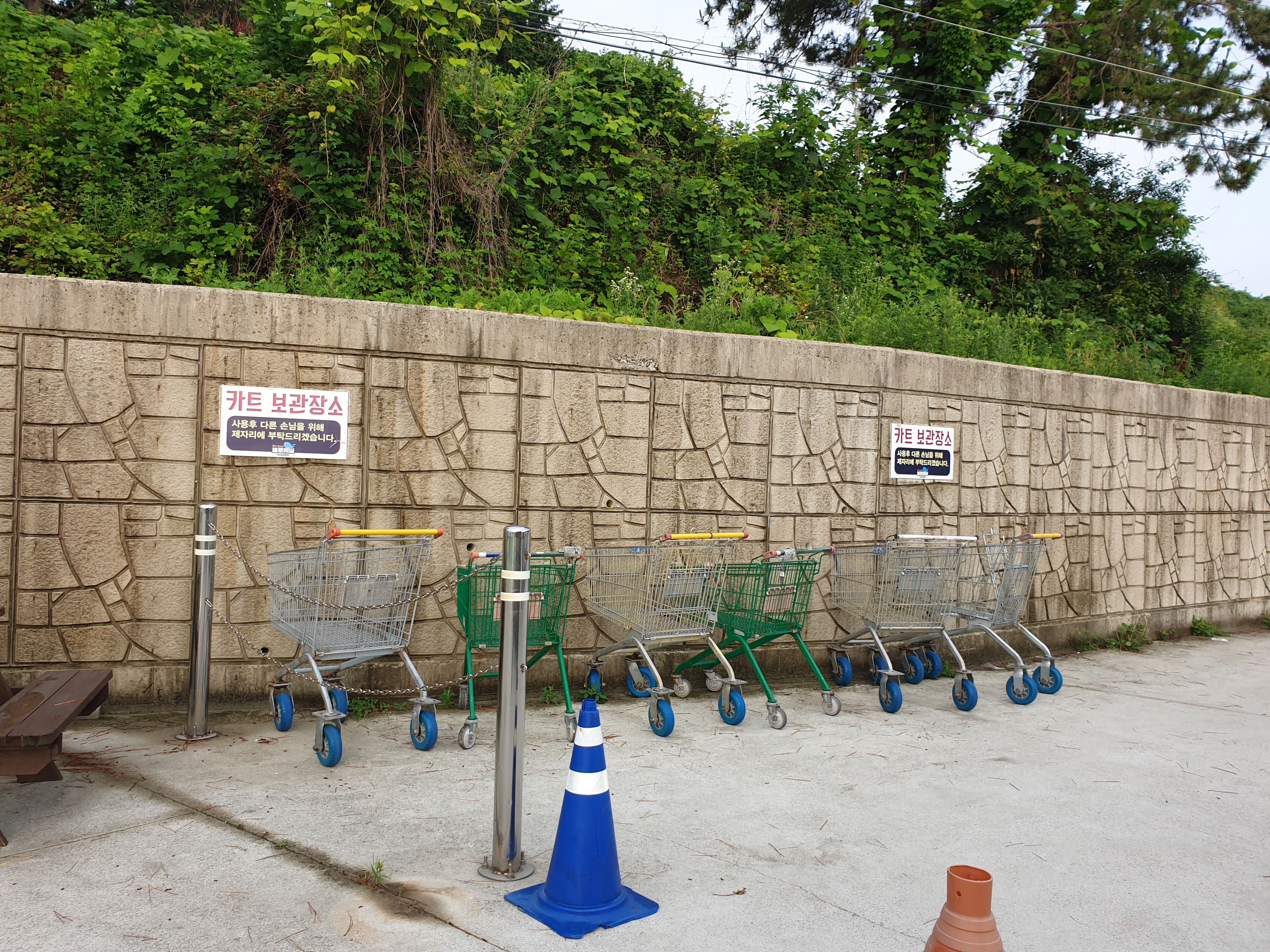 관리소 옆 카트