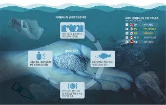 뇌를 잠식하는 미세 플라스틱 보이지 않는 위협_14