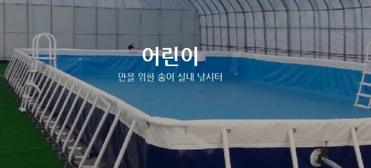 평창 송어축제