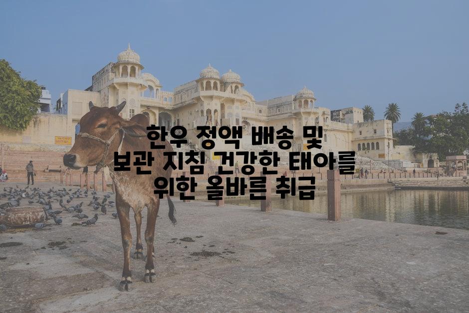 한우 정액 배송 및 보관 지침 건강한 태아를 위한 올바른 취급