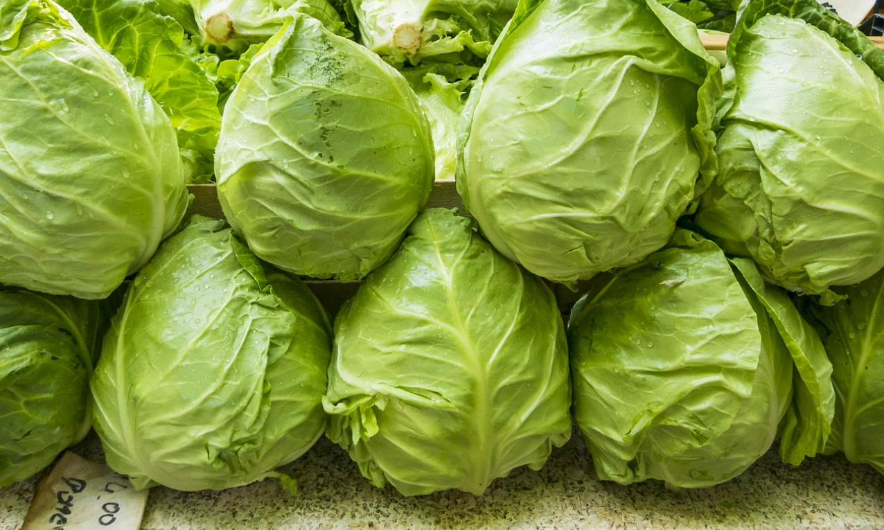 이국주 다이어트 : 아침 양상추 샐러드