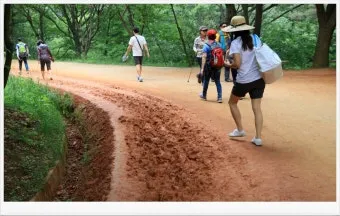 황토길 맨발 걷기 효능과 건강 효과 핵심 정보 정리해보기_23