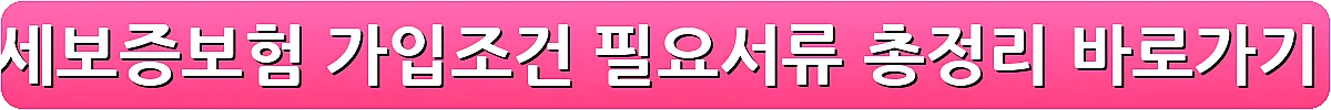 전세보증보험 가입조건 필요서류 총정리_12