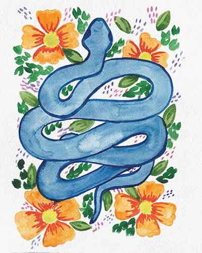 뱀 일러스트 그림