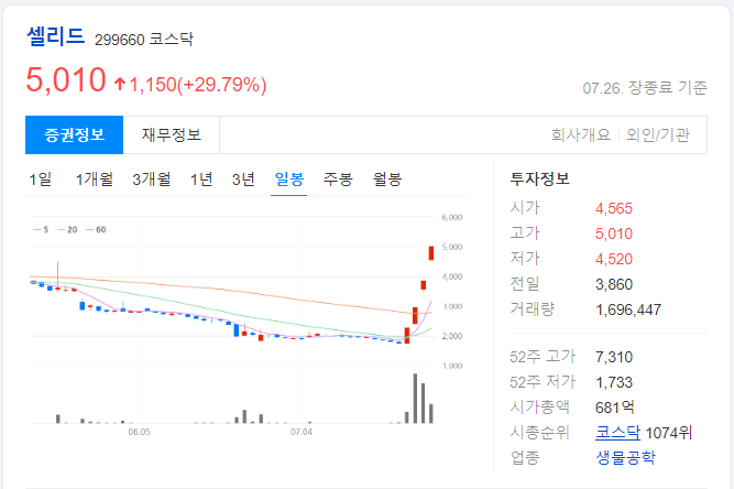 셀리드-일봉-차트-이미지
