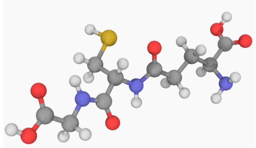 리포좀 글루타치온 효능