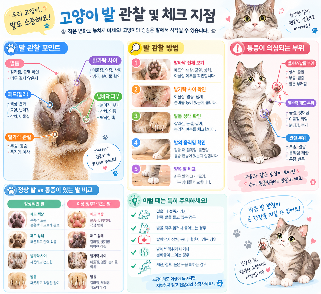 고양이 발 관찰 및 체크 지점