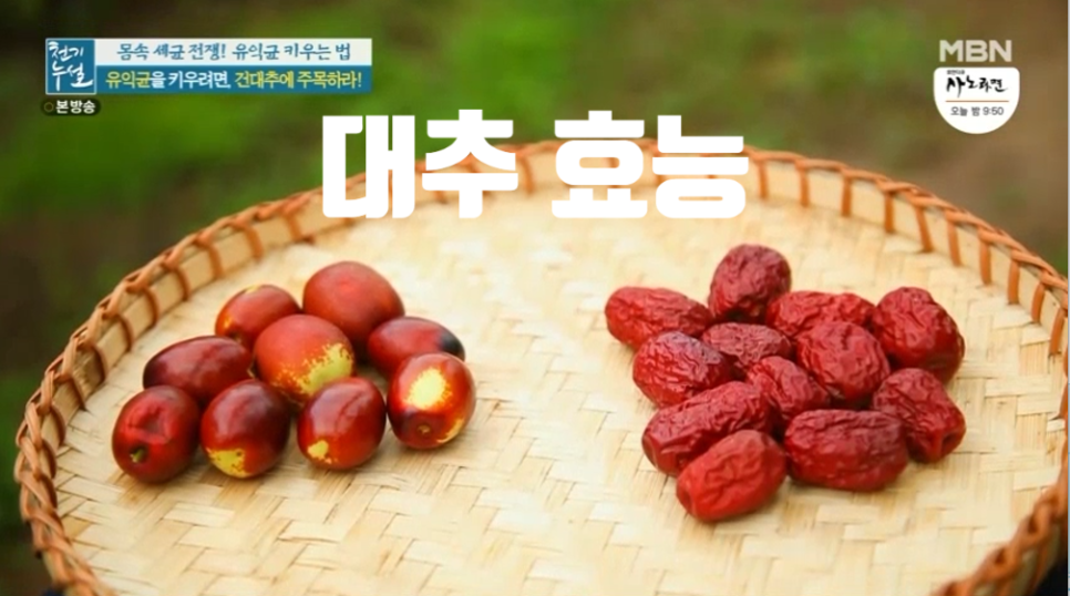 대추 사과대추 효능 대추차 생대추 건대추 고르는법 칼로리 보관법