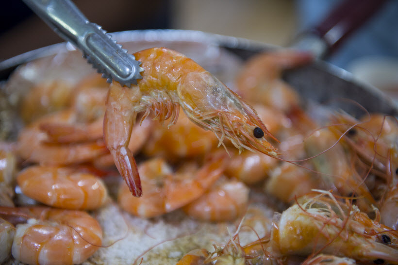 제29회홍성남당항대하축제