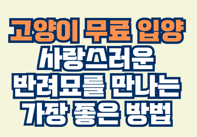 고양이_무료_입양