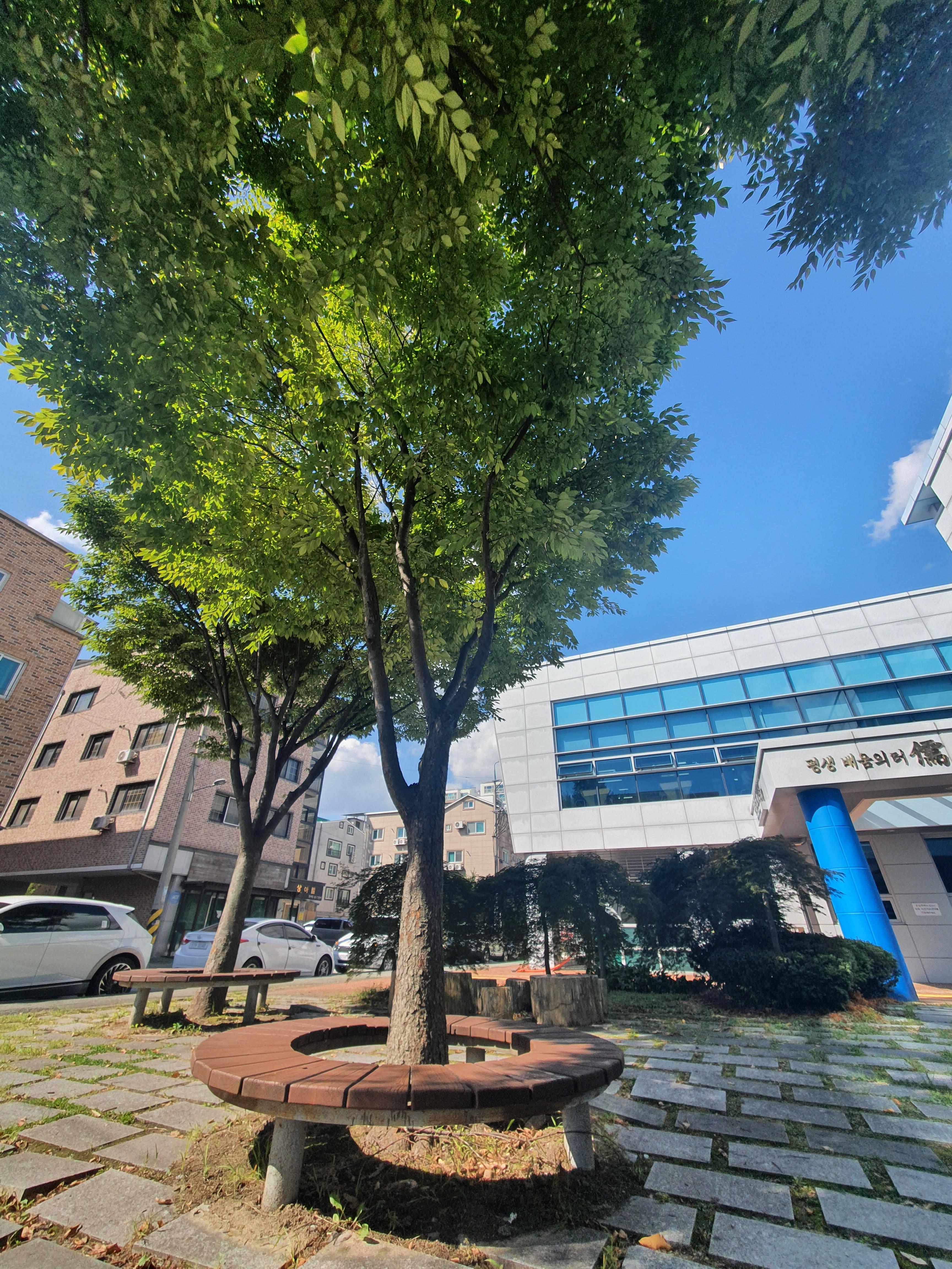 평일 한산한 진잠도서관