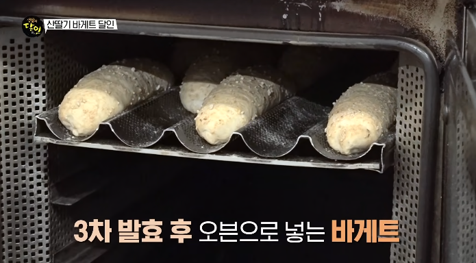 바게트반죽