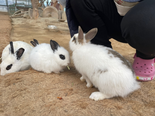 파주 동화힐링캠핑장 카라반 글램핑