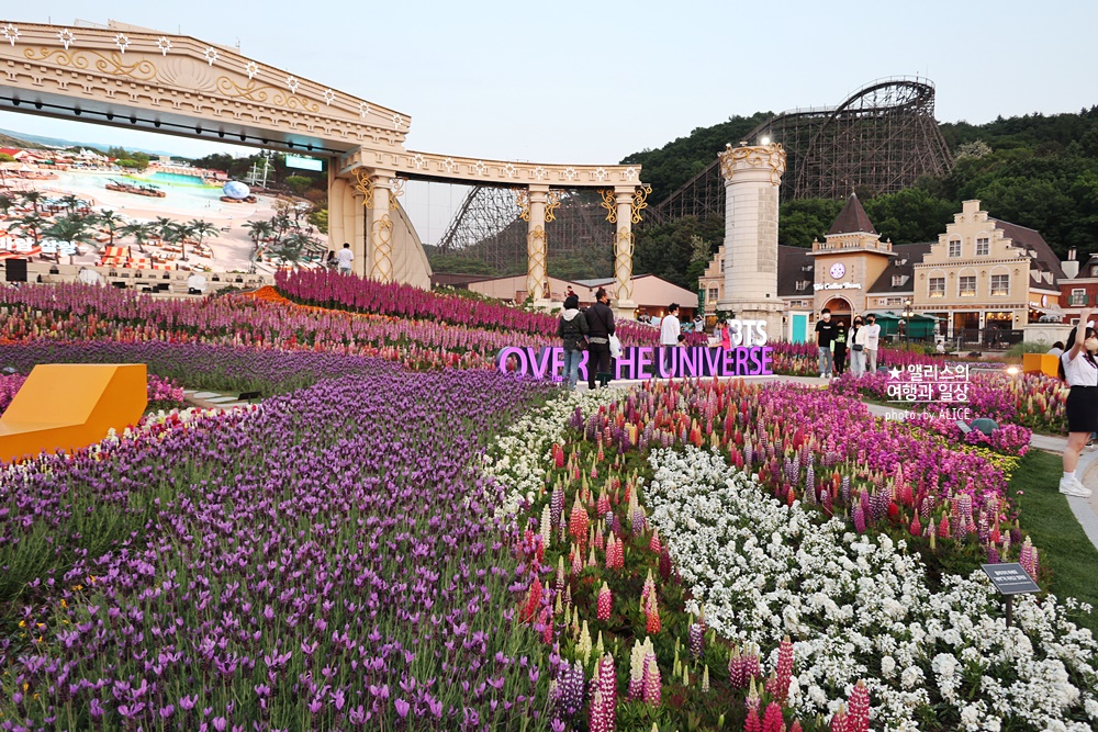 에버랜드 장미축제 2022 기본정보, 지금 개화시기, 에버랜드 플라워 아트&마켓