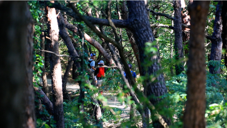 수락산 (의정부·남양주) – 아이들과 함께하는 가족 등산