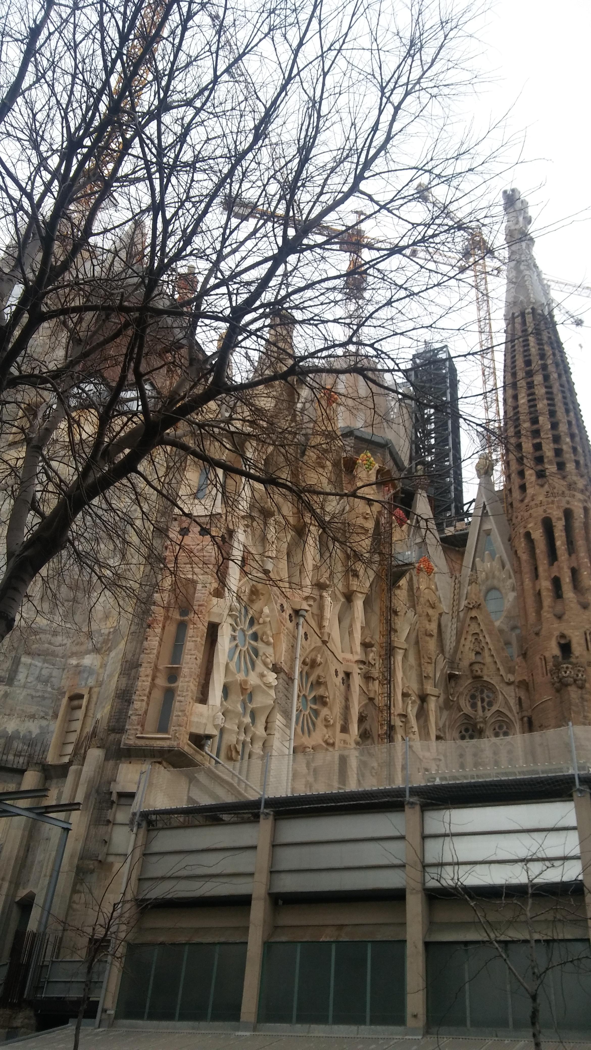 사그라다 파밀리아 성당(Temple Expiatori de la Sagrada Familia)