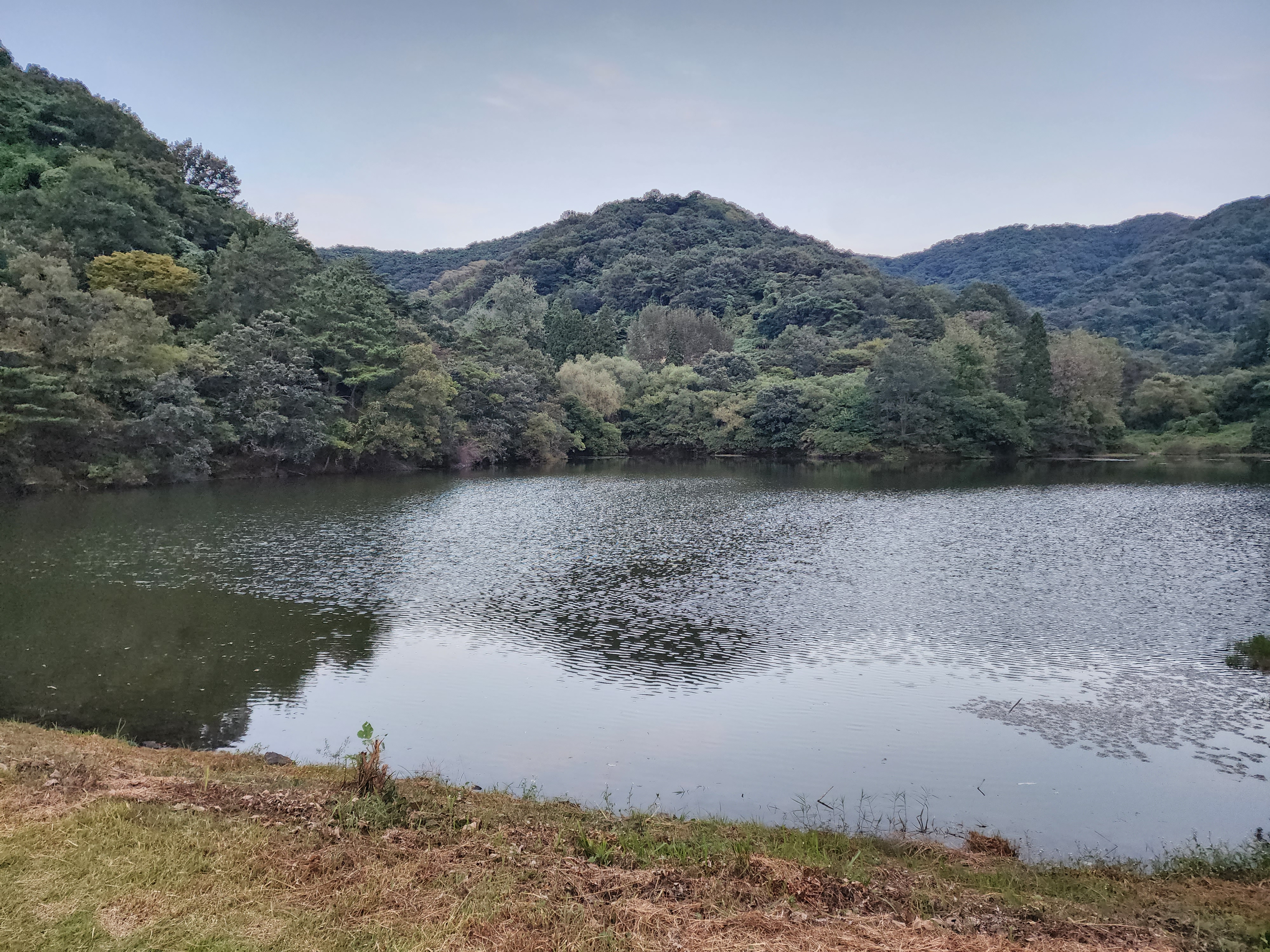 세량지 저수지