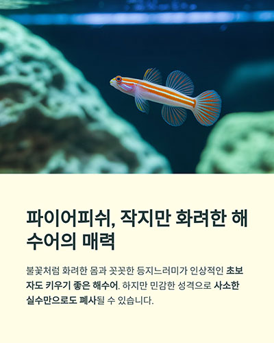파이어피쉬 키우기에서 실패하지 않는 법, 안정 사육 가이드