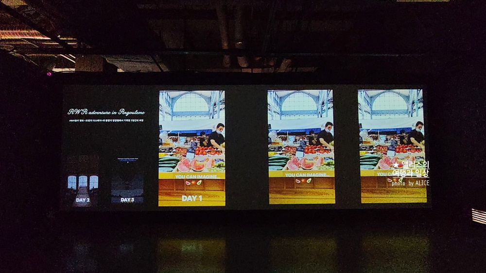 우연히 웨스 앤더슨 전시 추천, 그라운드 시소 성수