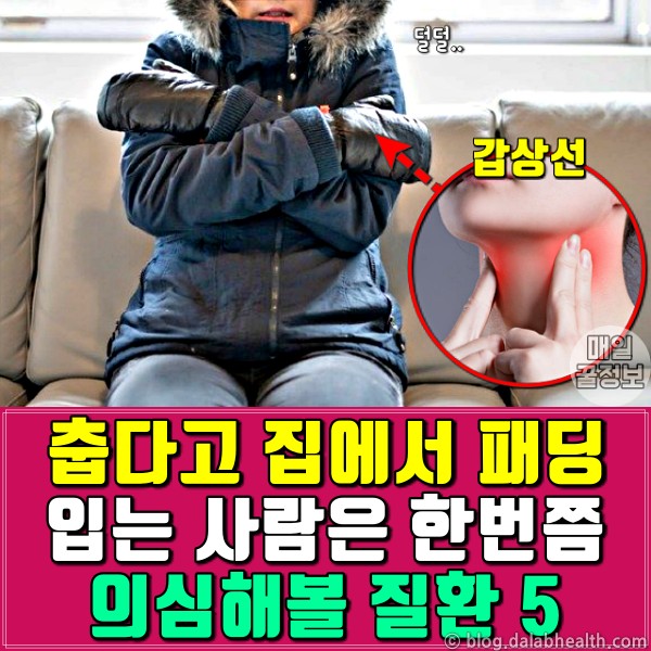 집에서 패딩 입고,추위 많이 타는 사람