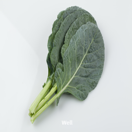 비염에 좋은음식