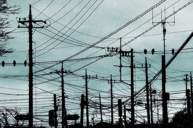 한전 전기요금 조회방법