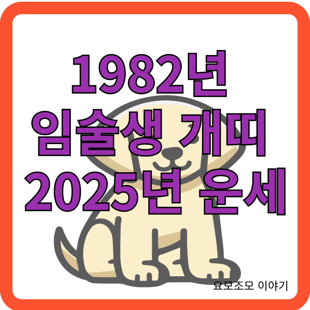 1982년-임술생-개띠-운세