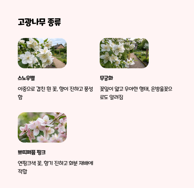 고광나무
