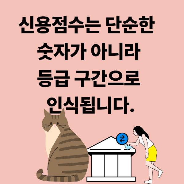 신용점수 700점과 800점의 실제 차이, 생각보다 큽니다