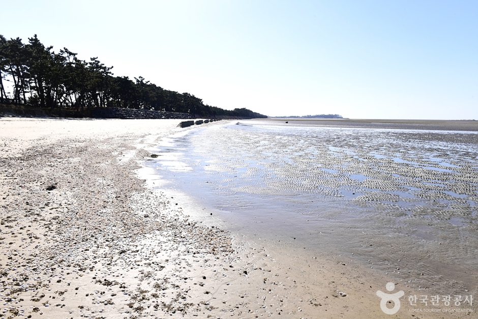 서해안 물때 시간표