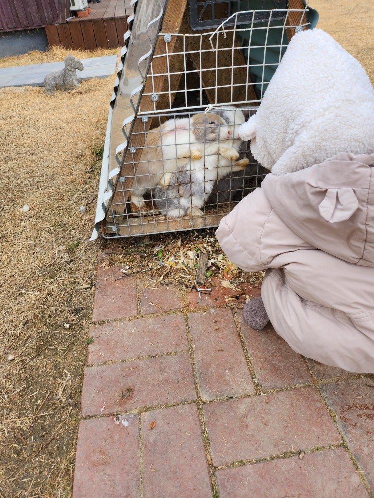 토끼를 보는 아이