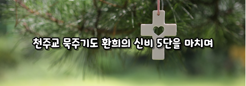 천주교 묵주기도 환희의 신비 5단