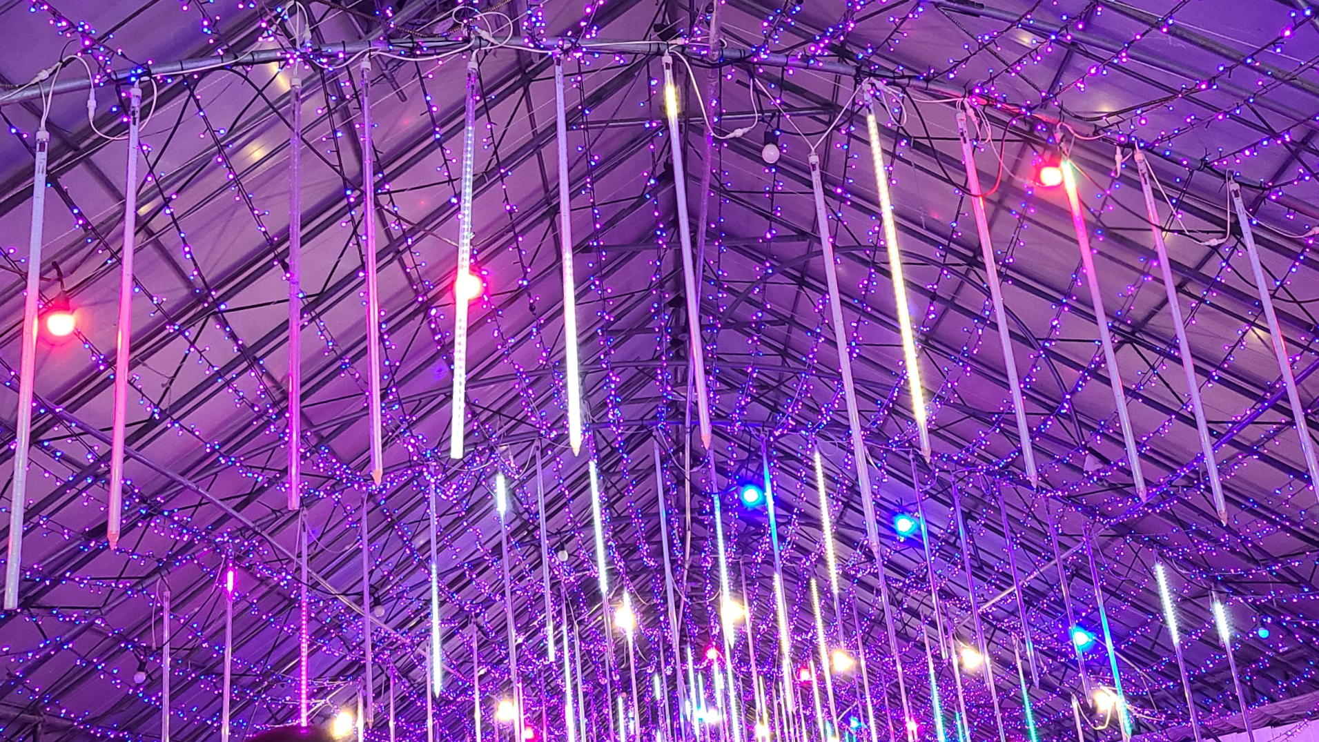 태안빛축제할인방법 태안별빛축제 태안불빛축제 태안애견동반 태안꽃축제 튤립축제 꽃박람회 태안할인