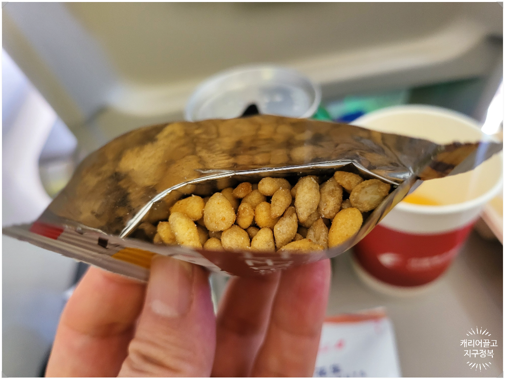 상해가는 동방항공