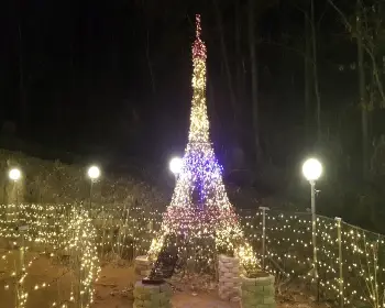 고니골 빛축제_18