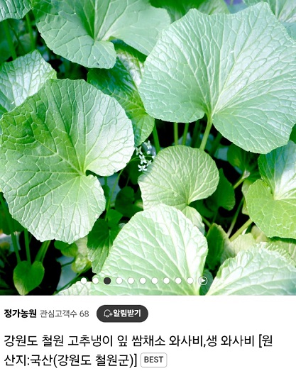 6시내고향-철원-고추냉이-정가농원