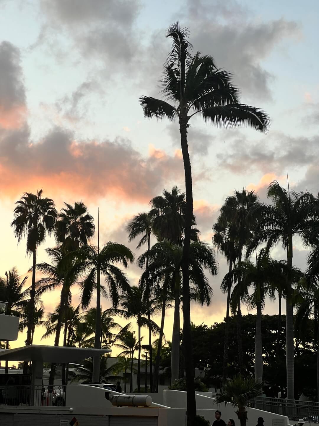 하와이 음식 로코모코