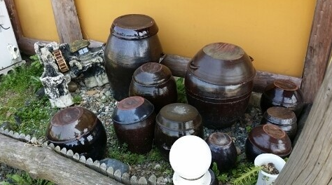 경주 점심 맛집 추천, 두부맛집 두부마을