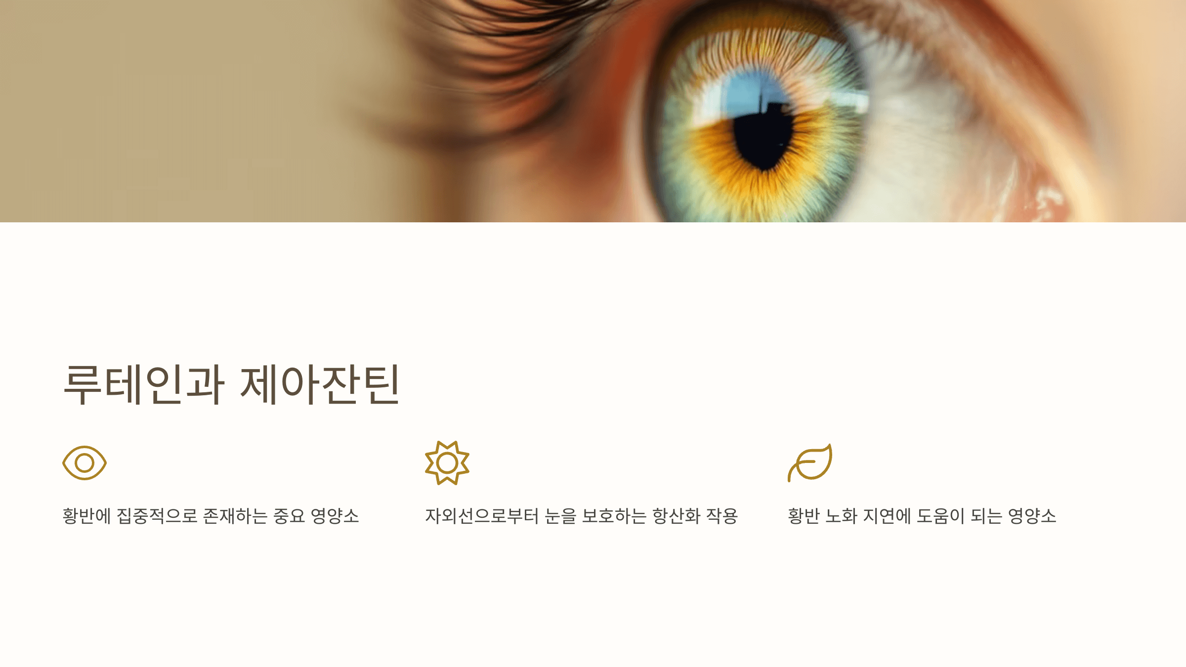 황반변성과 관련된 사진입니다.